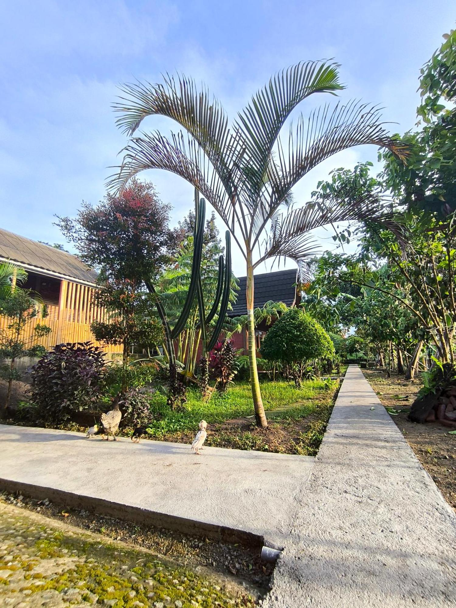 Tetebatu Valley Bungalows Exterior foto